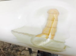 �G�|�L�V takayama �`�F�b�J�[ ���C�� 4